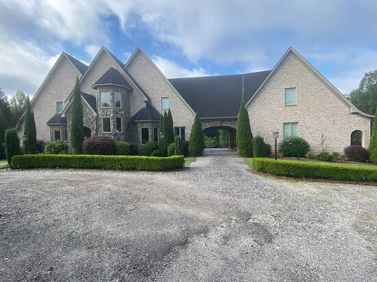 Whispering Willows主图