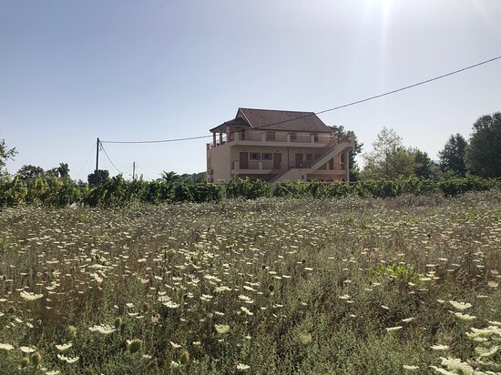 Angela Beach Corfu Hotel & Apartments-浴室