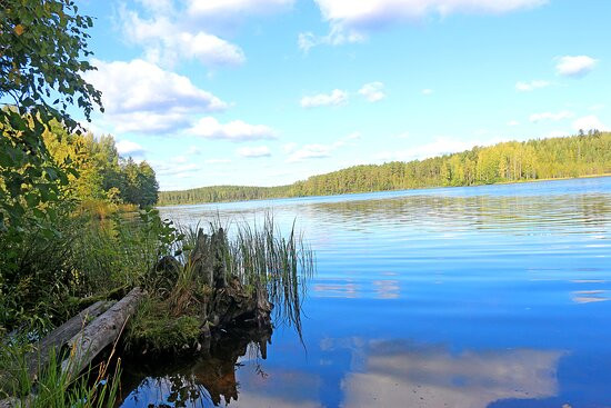 National Park Shhuchye Lake-Komarovo必去景点