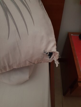 La Casa dei Sogni主图