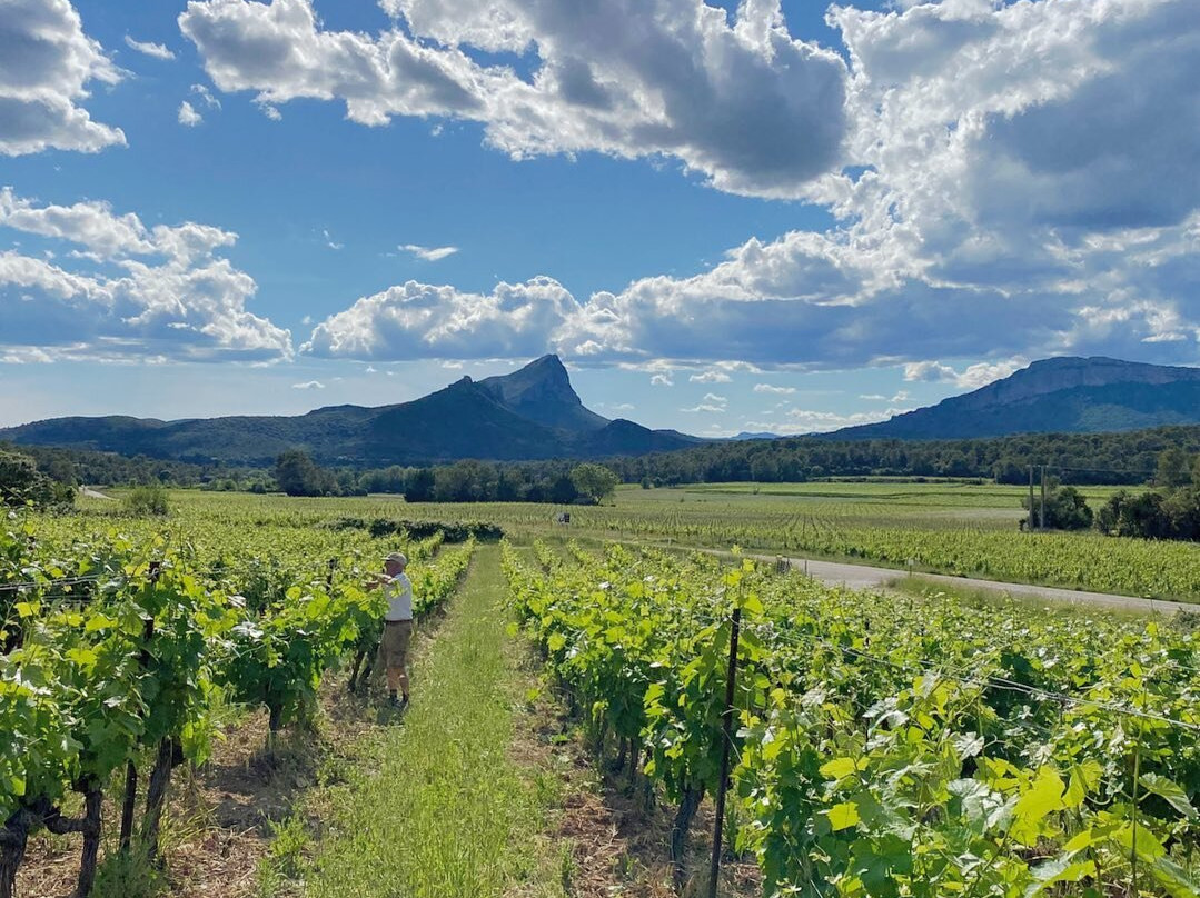 Domaine Coste-ubesse