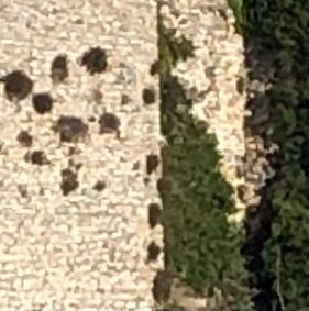 Resti del Castello di Cordignano景点图片
