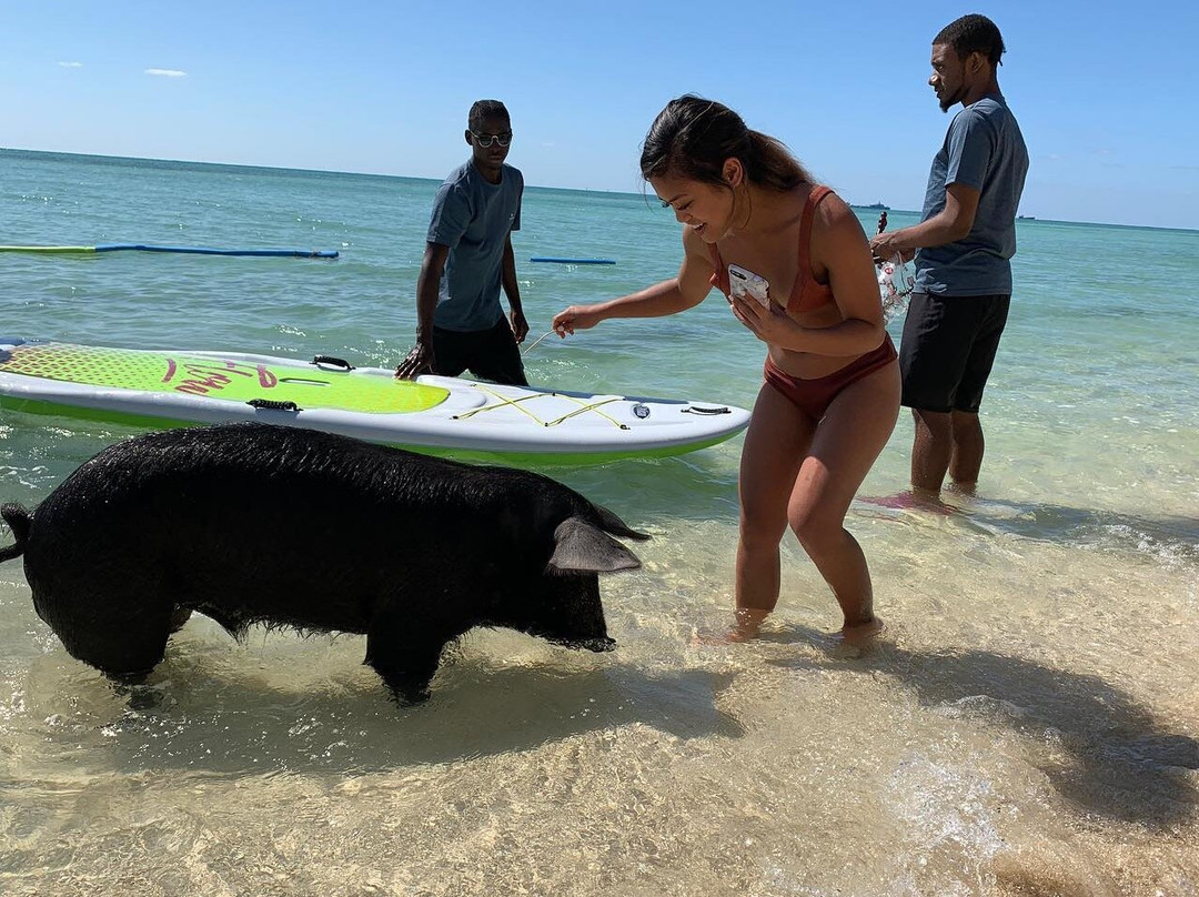 Da Pig Village Nassau-拿骚必去景点