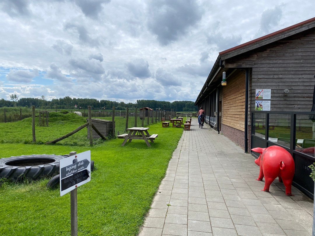 Boerderij Het Landsingerland景点图片