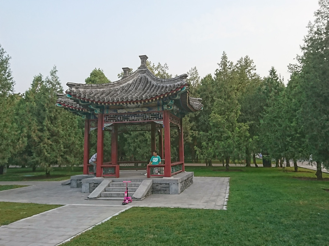 地坛公园-北京市必去景点