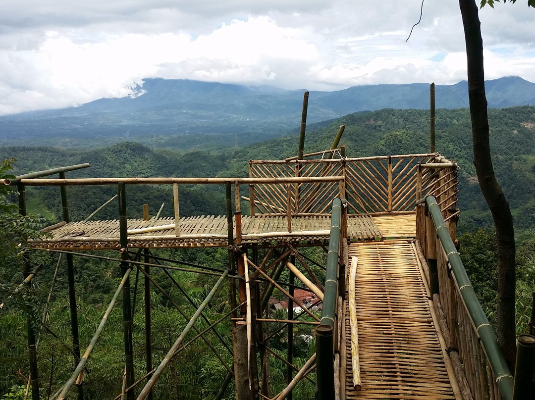 Sukajaya旅游攻略图片