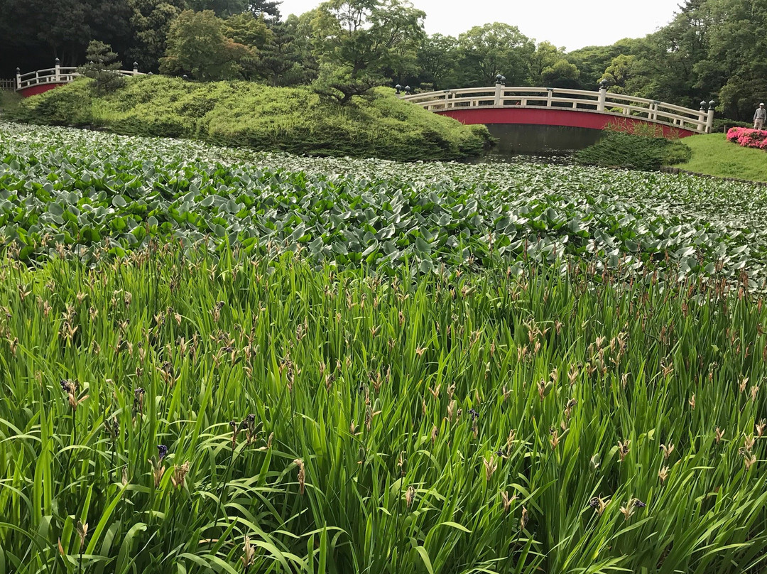 Uenodai Park景点图片