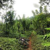 Tabanan Cycling-达巴南必去景点