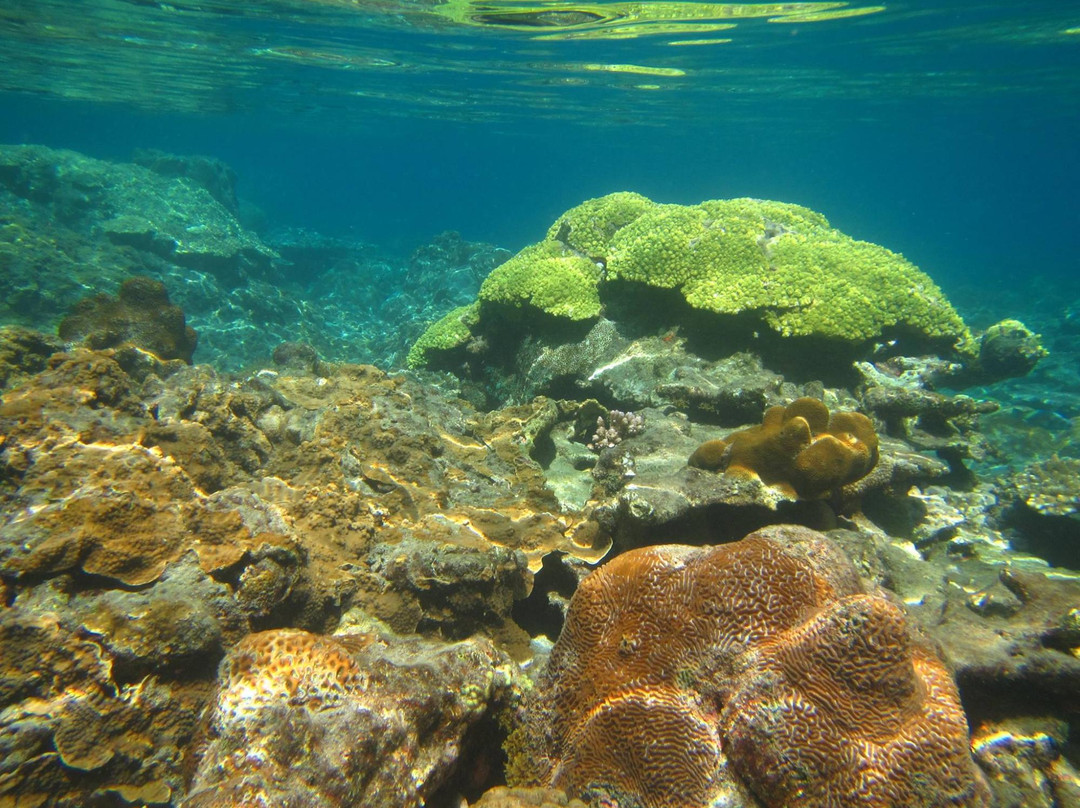 Tsuri Beach-小笠原村必去景点