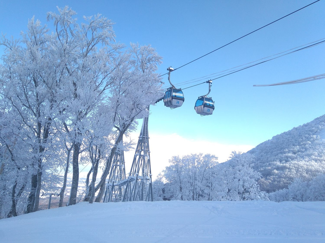 Aomori Spring Ski Resort景点图片