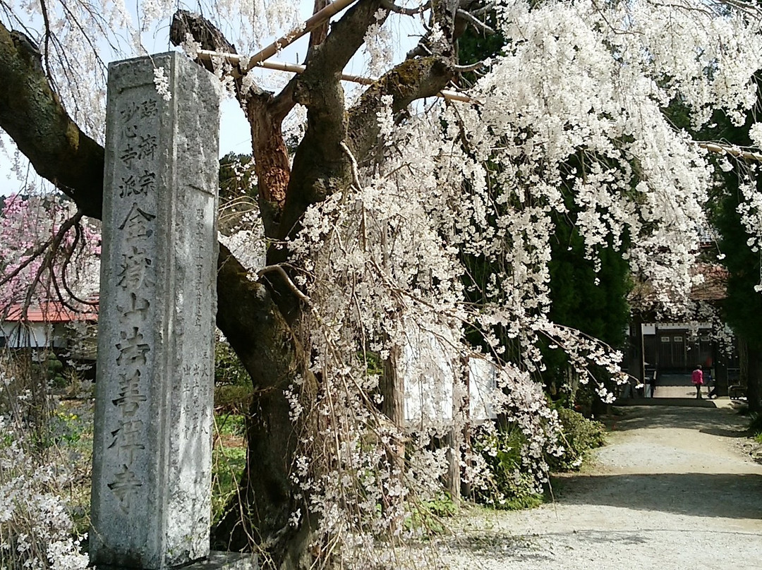 Hozenji Temple景点图片