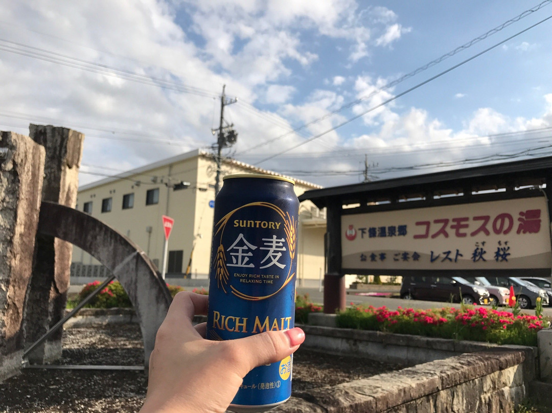 下伊那郡旅游景点-Cosmos no Yu