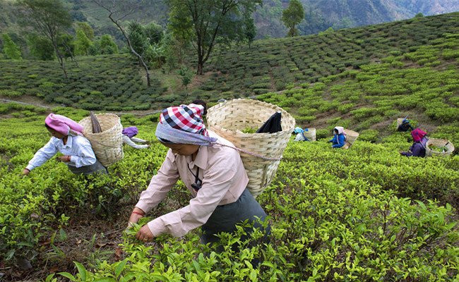 Your Way Holiday-杭州市必去景点