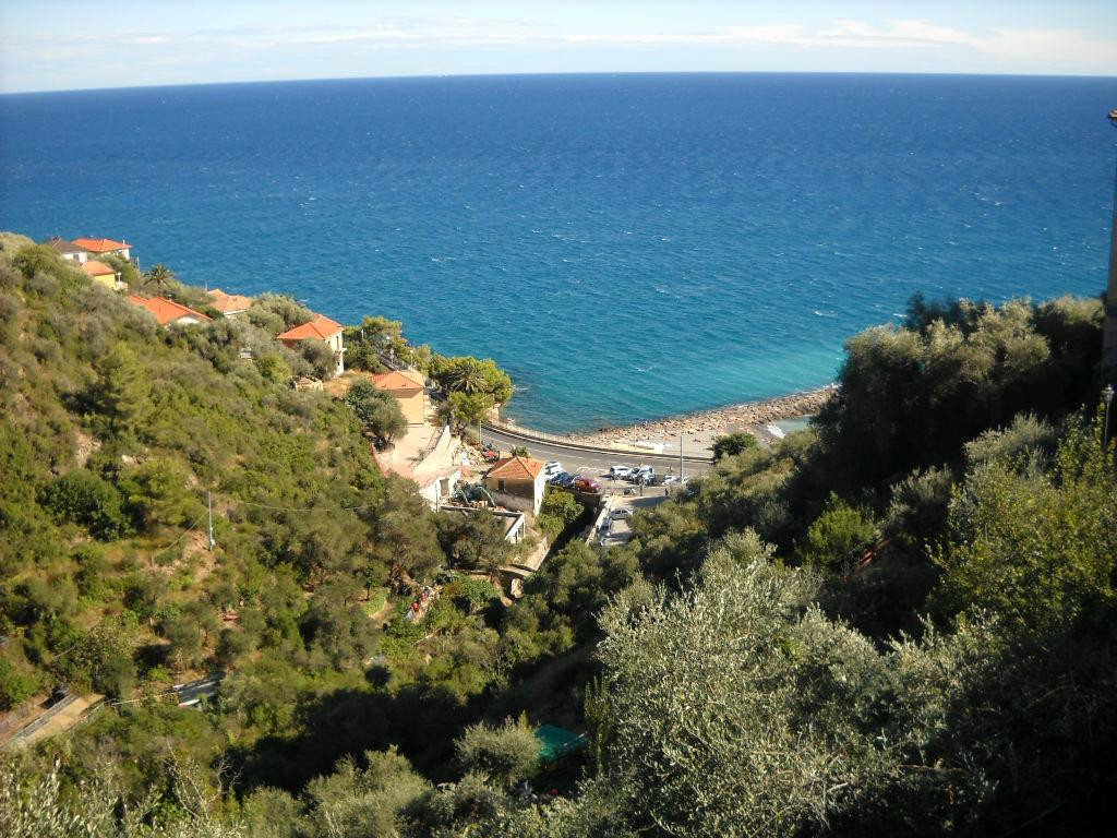 Cervo旅游攻略图片