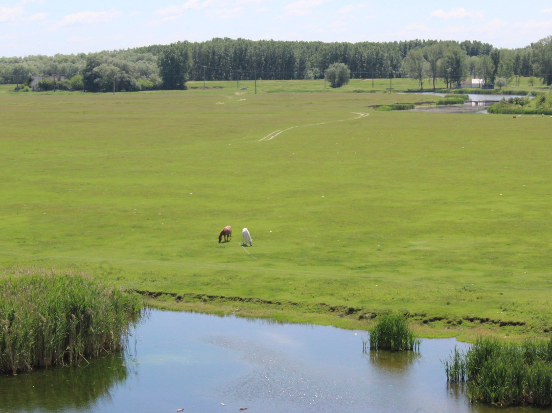 Kozloduy旅游攻略图片