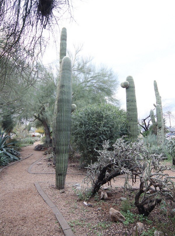 Glendale Public Library-格兰岱尔必去景点