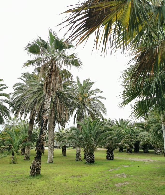 Parque de las Palmeras-梅利利亚必去景点
