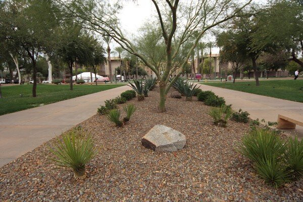 Parque La Ruina-埃莫西约必去景点