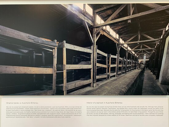 Galicia Jewish Museum-克拉科夫必去景点