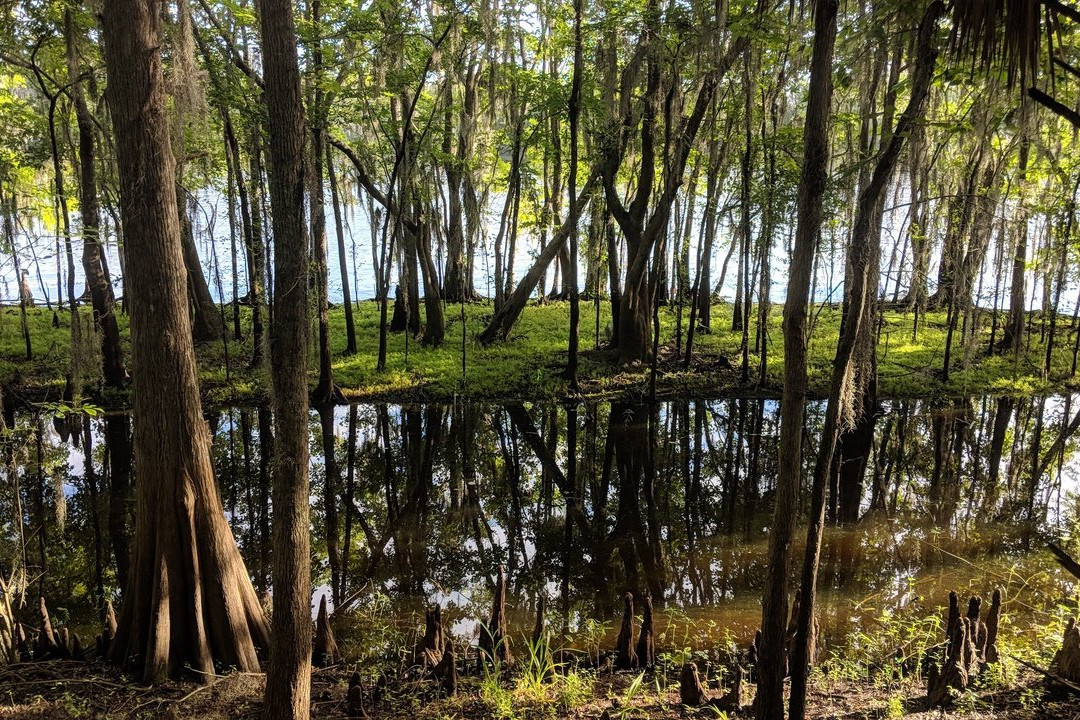 Black Bear Wilderness Area-桑福德必去景点