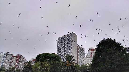 Plaza Colón-马德普拉塔必去景点