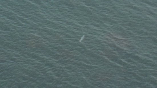 Perce Au Pic de l'Aurore主图