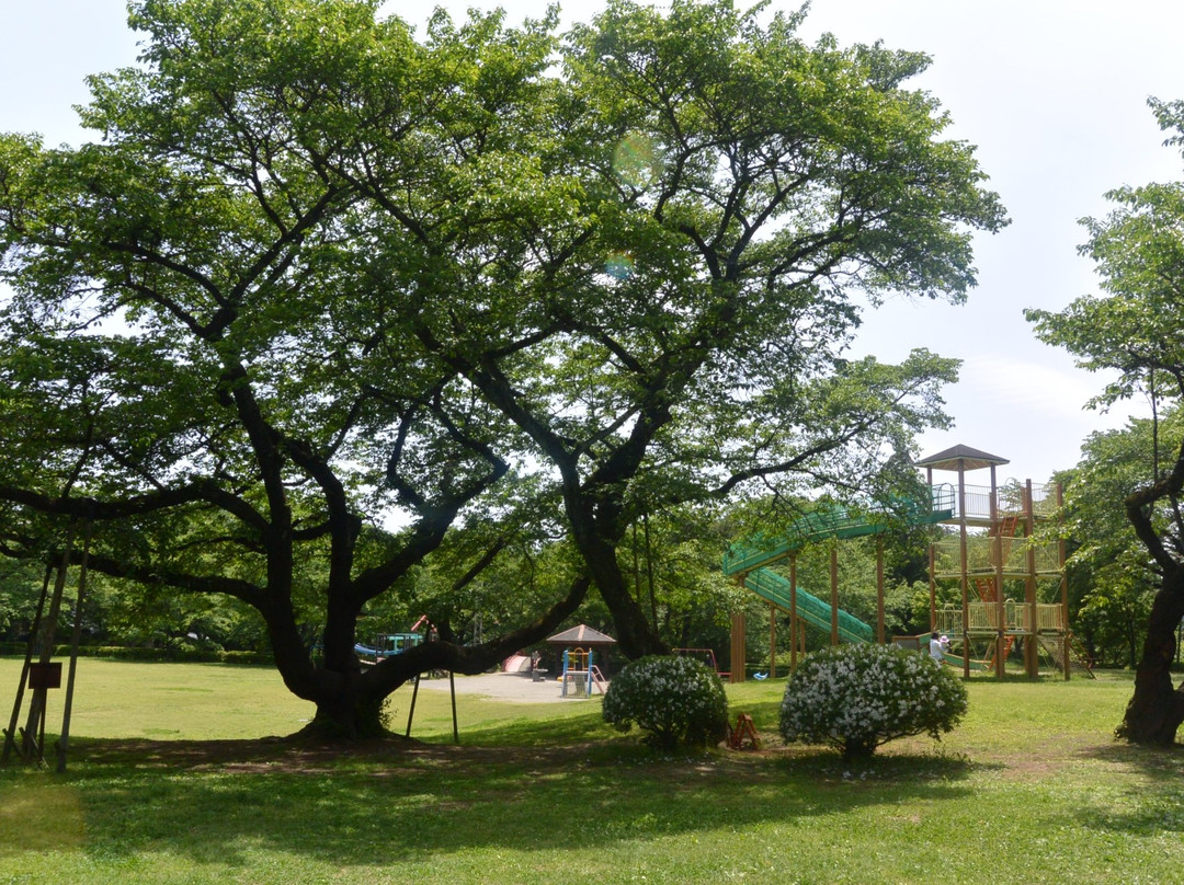 Kasuga Park景点图片