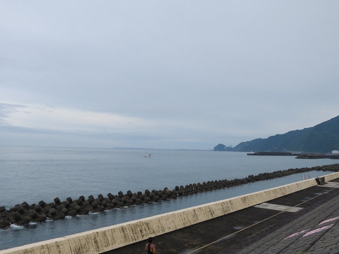 Hironokaigan Park-静冈市必去景点