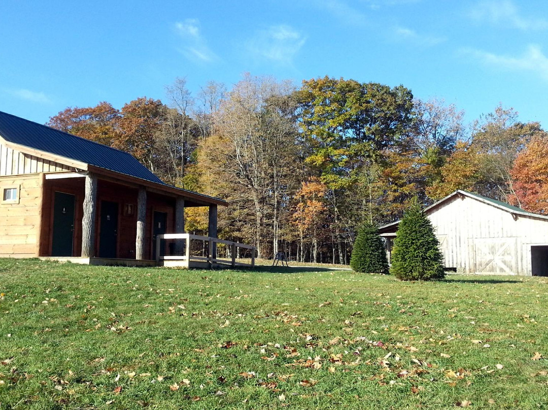 Blue Bear Mountain Camp