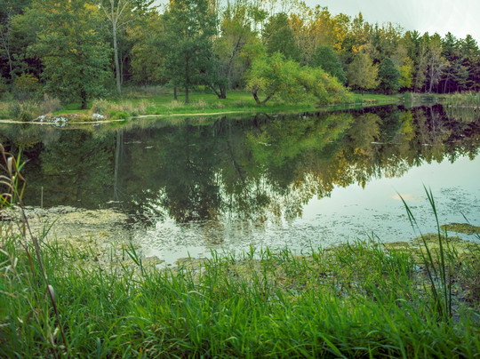 Lewis A. Jester County Park-Granger必去景点