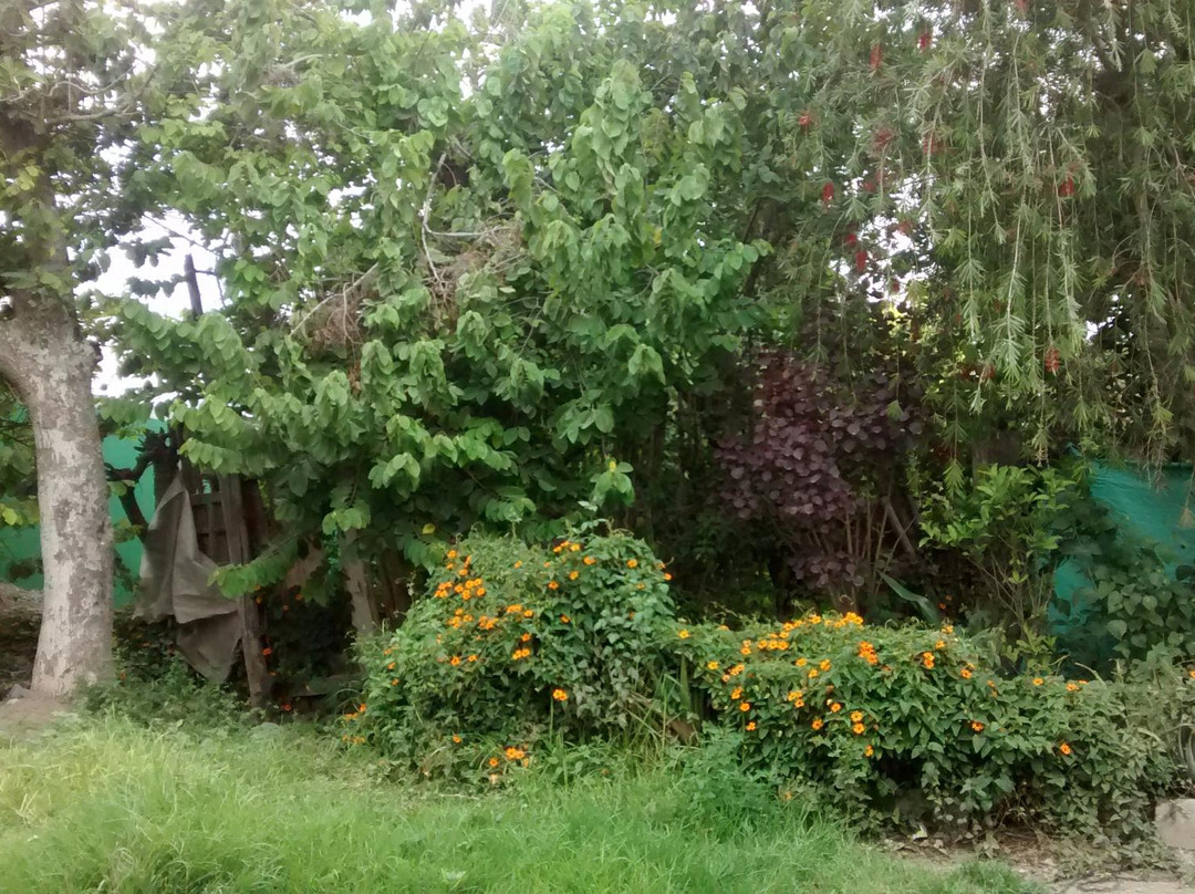 Guayllabamba旅游攻略图片