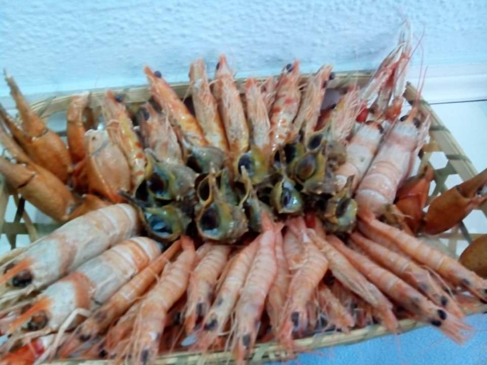 La mar de fresquita