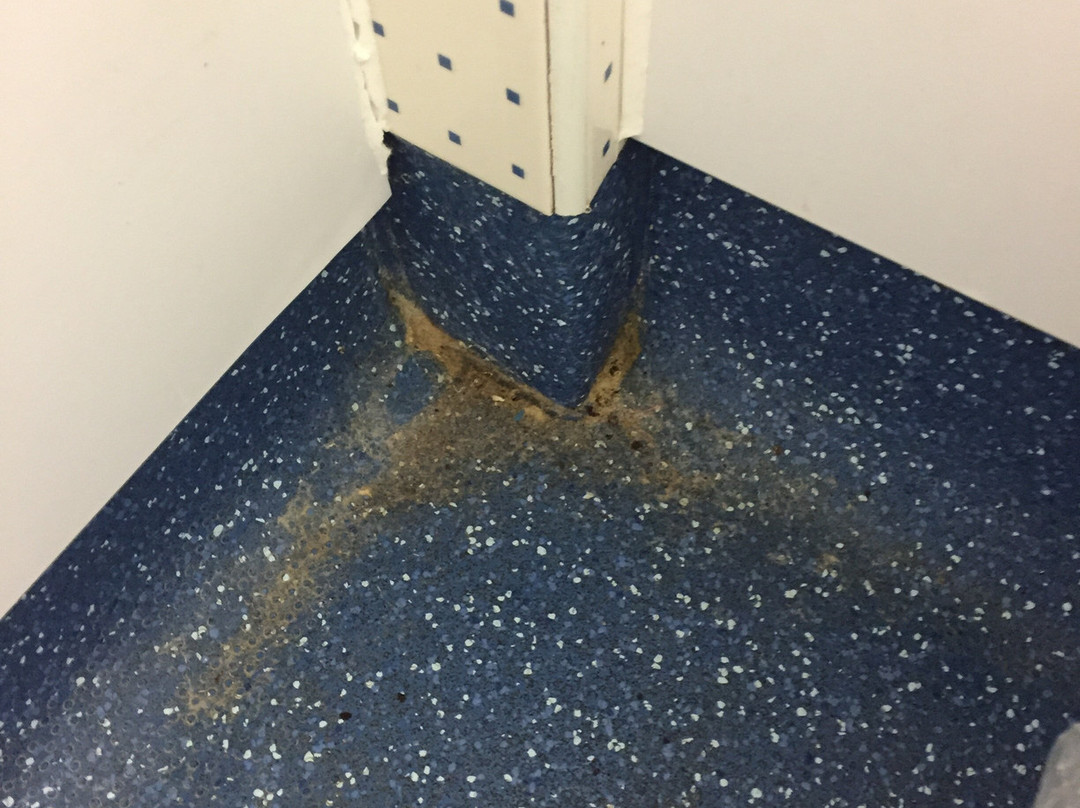Travelodge Dumfries主图