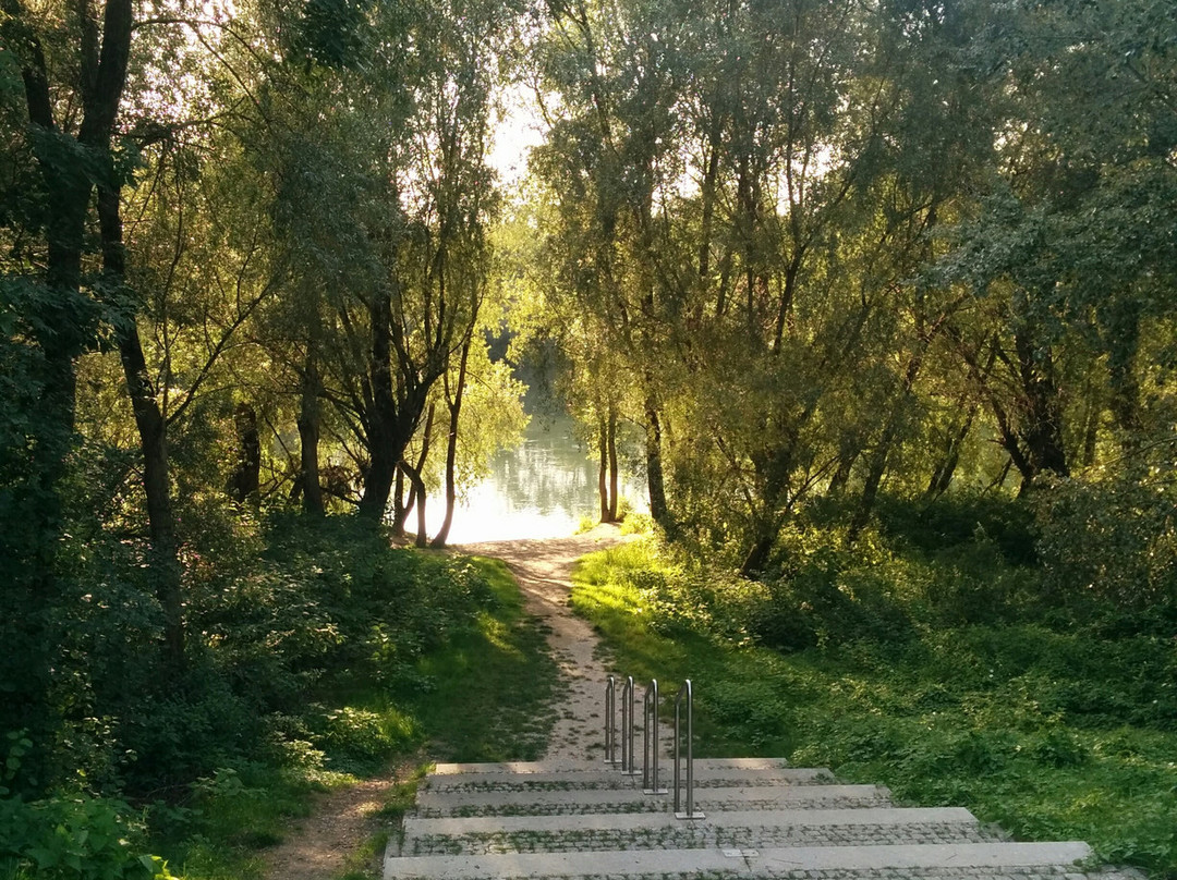Rheingärten景点图片