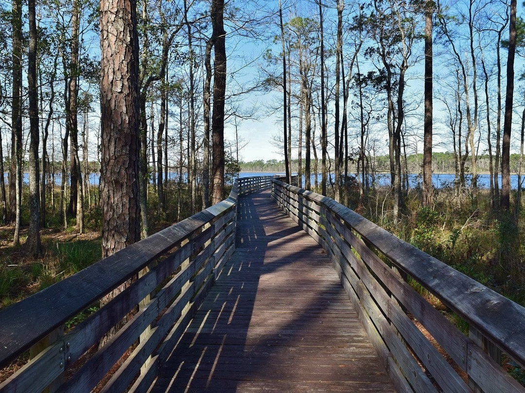 Tarkiln Bayou Preserve State Park景点图片