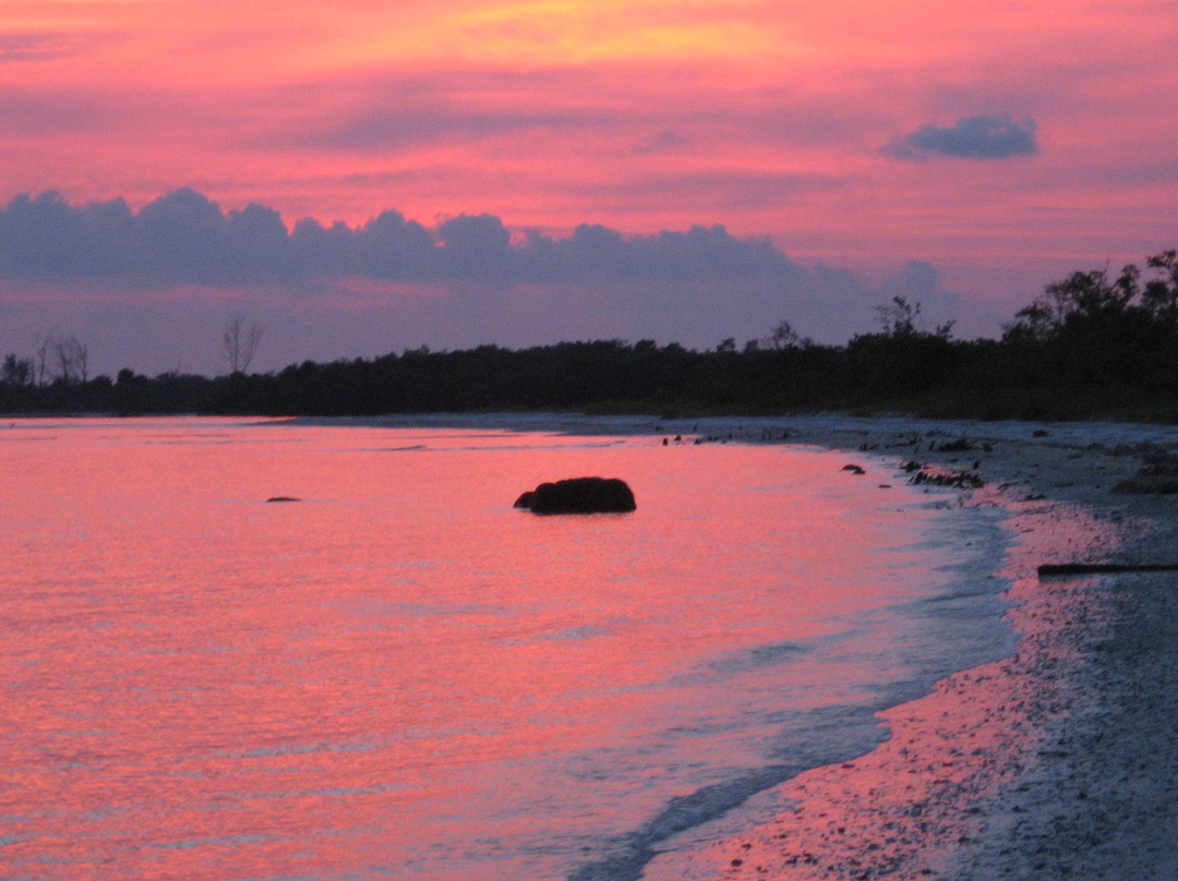 Bunche Beach景点图片