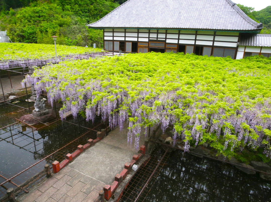 Tyosenji Temple-本庄市必去景点