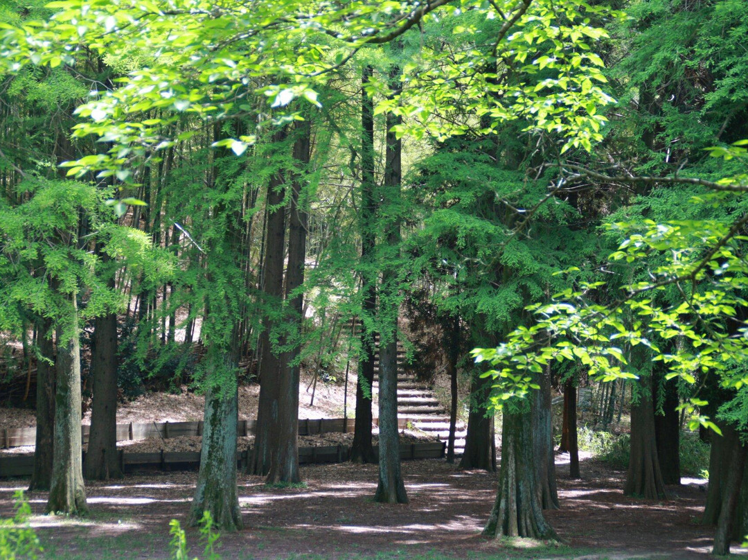 Senri Central Park景点图片