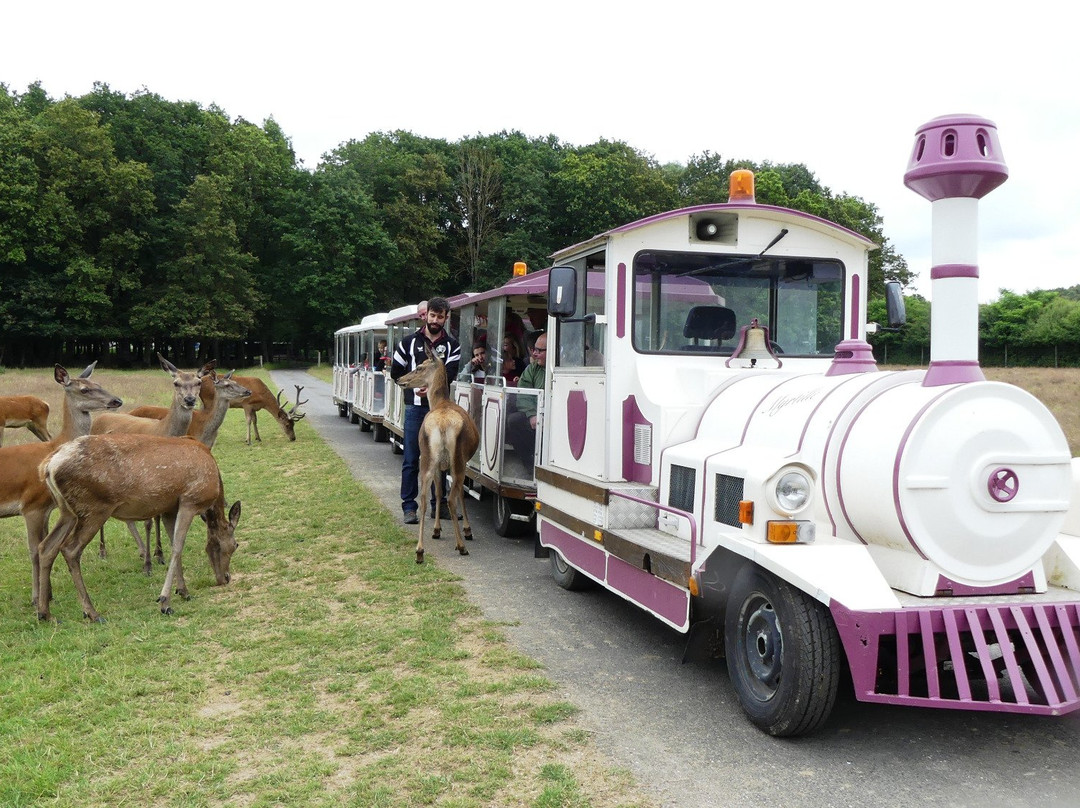 Reserve De Beaumarchais - Safari Train景点图片