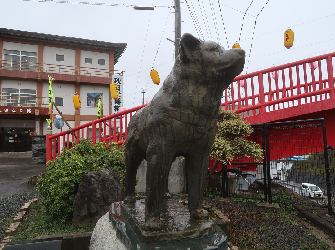 大馆市旅游景点-Akitainu Museum
