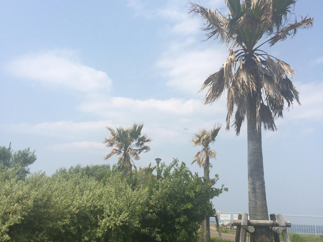 Futamachiya Park-三浦市必去景点