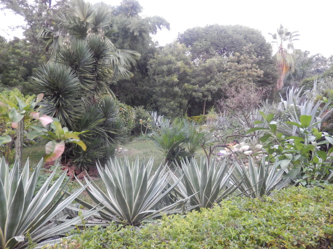 Dhokawade旅游景点-Mumbai Port Trust Garden