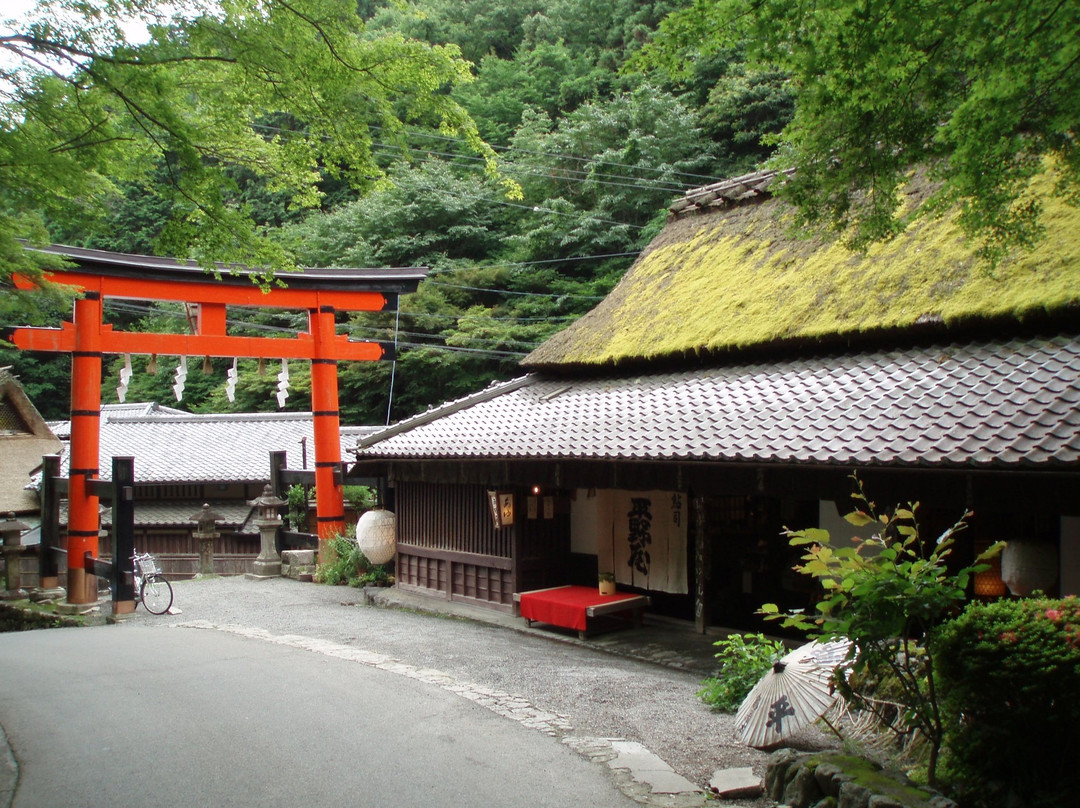 Kyoto Sagano Walk & Bamboo Forest景点图片