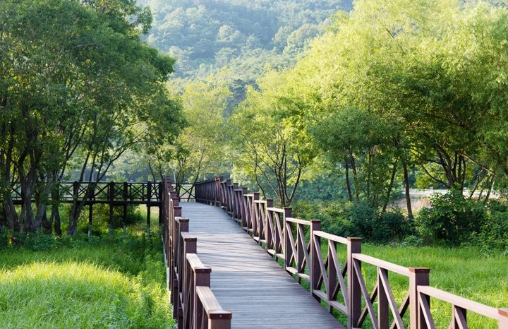 Gwangjuho Lake Eco Park景点图片