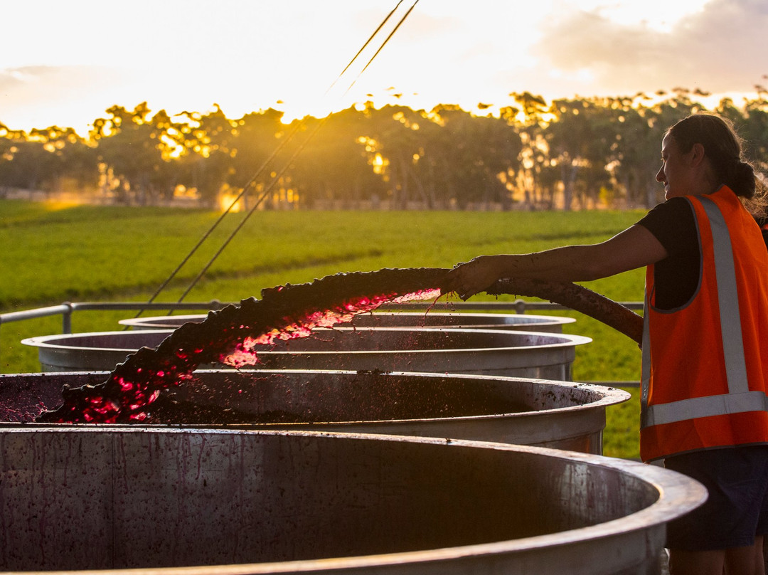 Kirrihill Wines-克莱尔必去景点