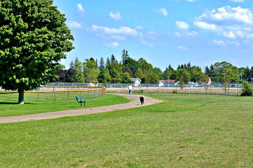 Charlevoix Dog Park景点图片
