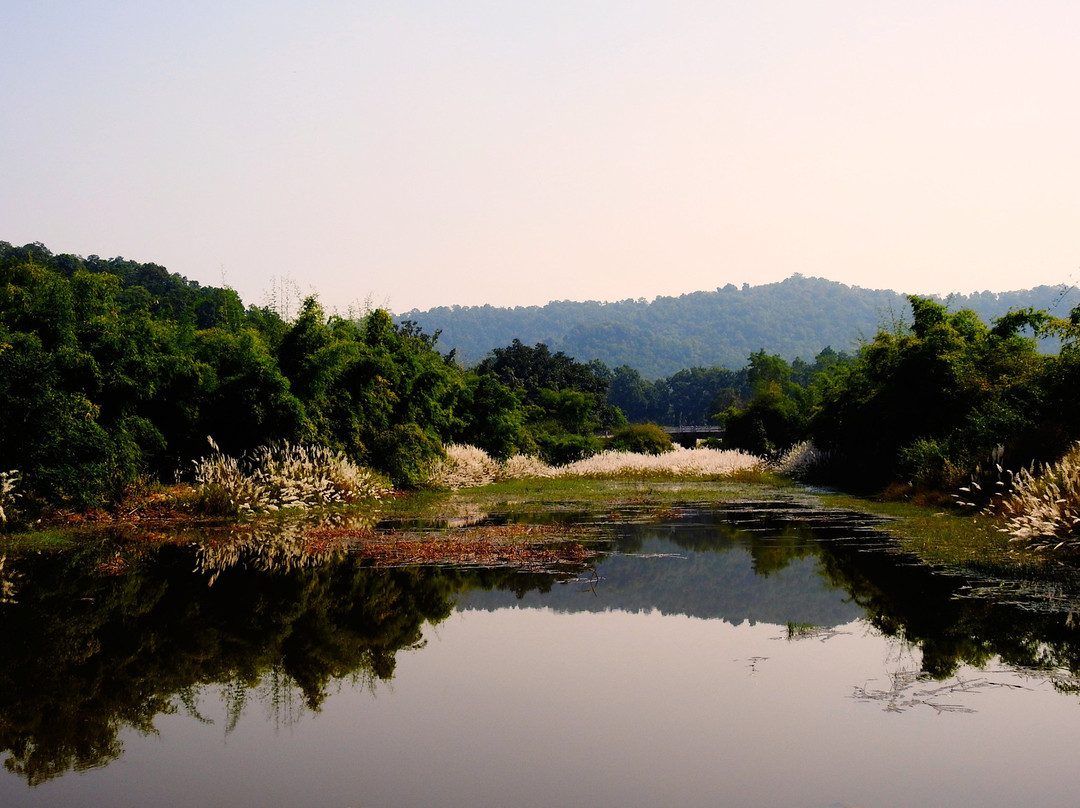 Umaria酒店住宿-The Tiger Valley Resort