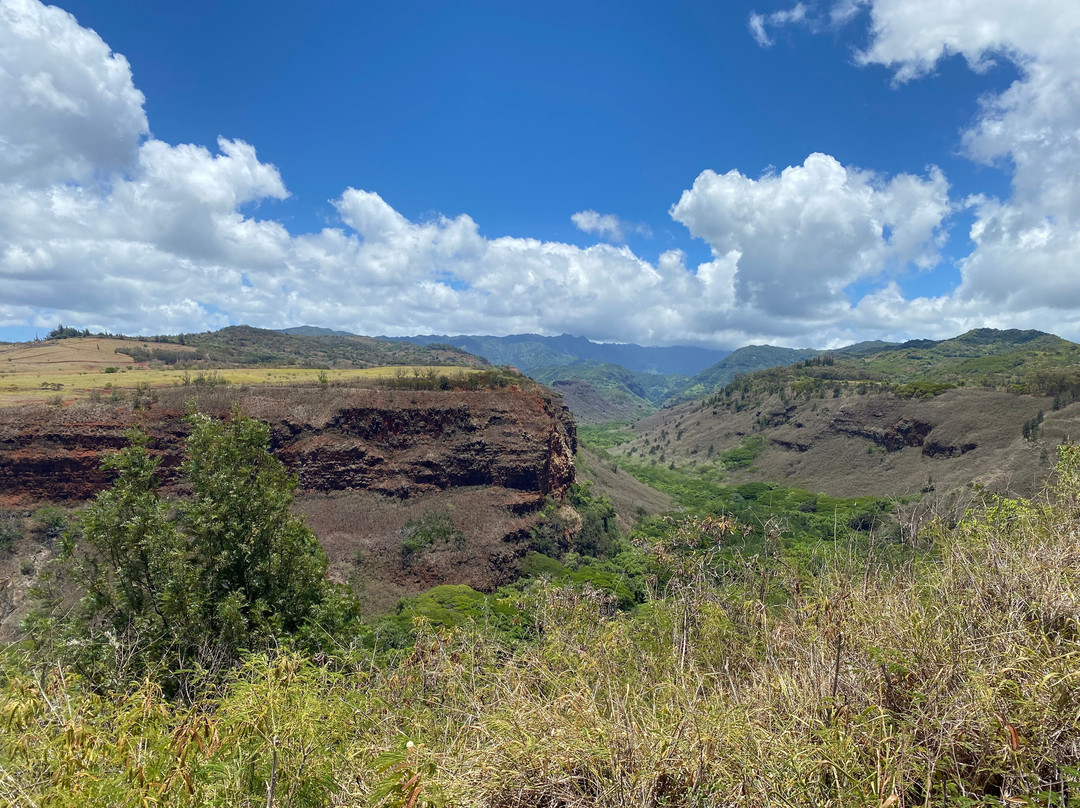 Hanapepe Valley Lookout景点图片