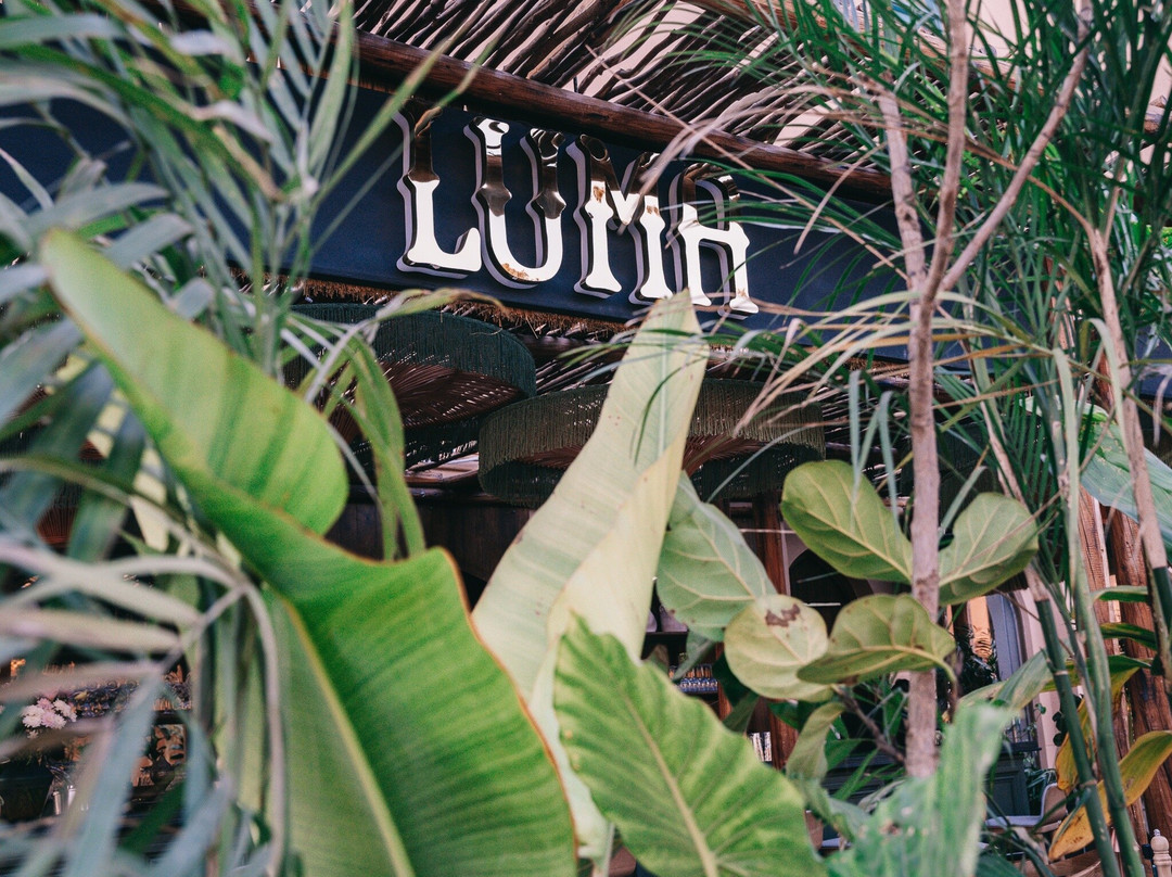 Luma