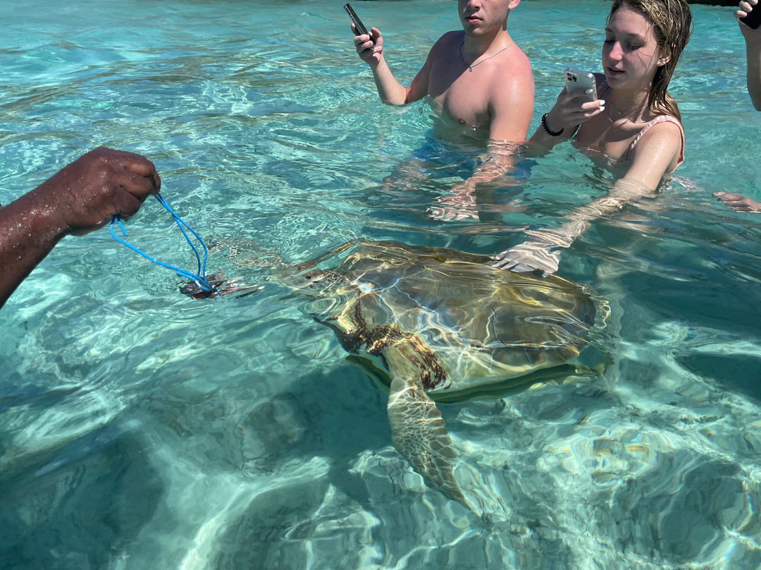 Exuma Ray's boat tours-Rolleville必去景点